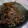 Akikinha's cooksnap of when they made つくしの甘辛炒め.