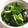 ton♪'s cooksnap of when they made ほうれん草のｵｲｽﾀｰｿｰｽ合え.
