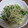 しおりんりく's cooksnap of when they made 小松菜ともやしの簡単ごま油和え.