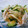 うめもどき's cooksnap of when they made きゅうりのソーススゴだれ和え.