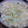 ayatowa's cooksnap of when they made 新しょうがの炊き込みご飯*.