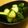 ねっちゃんっ's cooksnap of when they made 簡単！おいしい！中華風キュウリ漬け.