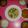 seika's cooksnap of when they made 鶏肉とレタスのさっぱり炒め.