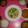 seika's cooksnap of when they made 鶏肉とレタスのさっぱり炒め.