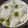 トコタン's cooksnap of when they made ぷっくり♪豆ご飯 (グリンピースご飯).