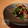 ももペンギン's cooksnap of when they made 菜の花とツナのマヨ味噌和え.