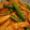 iris1002's cooksnap of when they made にんにくの芽の中華風炒め.