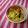 るらちゃん's cooksnap of when they made モチ~de~和風スイーツ*~♥.