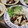 musumeダブル's cooksnap of when they made 和風照り焼きハンバーグ.
