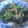 †文耶†'s cooksnap of when they made ★材料３つで簡単！ほうれん草のツナ炒め★.