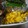 太郎と花子と私's cooksnap of when they made 簡単！しいたけのマヨコーン焼き(^-^).