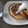 kobaf's cooksnap of when they made 小麦粉でホットケーキ.