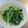 ゆりYO船長's cooksnap of when they made カブの茎の中華スープ煮.