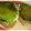 mi88na's cooksnap of when they made 夏の焼きおにぎり.