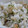 ＷａＴヒロコロ's cooksnap of when they made 簡単♪梅のさっぱりご飯.