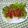 健太ママ♪'s cooksnap of when they made ご飯、おかわり！うまうまポークチャップ☆.