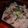 Jock's cooksnap of when they made たこ飯.