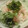 時花菜's cooksnap of when they made 鮭とお漬物のまぜまぜ寿司.