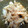 ちえじゅ's cooksnap of when they made 捨てないで！大根の皮できんぴら♪.