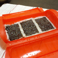 atanab's cooksnap of when they made 山芋とれんこんのお焼き　ルクエで簡単！.