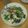 かしこ★'s cooksnap of when they made 簡単あさりうどん☆オイスターソースが決め.