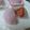 ayuwat15's cooksnap of when they made 春はやっぱり♡いちご大福.