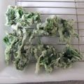 よちりん's cooksnap of when they made ヨモギの天ぷら.