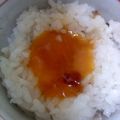 kuishinboF's cooksnap of when they made 漬け卵黄の卵かけご飯｡+☆+｡ﾟ.