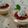 ヌーシ's cooksnap of when they made 爽やか軽～い♪ほんのりトマトな蒸しプリン.