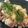 まきジロー's cooksnap of when they made じゃが醤油香り炒め♪.