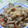のじまさん's cooksnap of when they made 竹の子の炊き込みご飯.