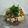 さとみりん's cooksnap of when they made 食感を楽しむ　＊クラッカー　on　納豆＊.