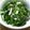 ねっちゃんっ's cooksnap of when they made さっぱり！青菜としめじのおろしポン酢.