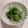 *けいこっこ*'s cooksnap of when they made レンジで簡単☆豆苗ナムル.