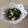 クックVESREV☆'s cooksnap of when they made わけぎとタコのぬた.
