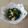 クックVESREV☆'s cooksnap of when they made わけぎとタコのぬた.