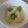 くまのブーフ's cooksnap of when they made 豆乳で♪そら豆とえびのミルク煮.