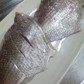 ◆あややっこ◆'s cooksnap of when they made 魚の鱗の取り方！.