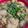 ゆるмαмα's cooksnap of when they made なすと鶏もも肉で酸っぱ煮♪.