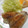 まるかば's cooksnap of when they made 鯵のムニエル.