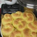 トマトマン's cooksnap of when they made もっちり☆かぼちゃパン.