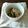 そわ子's cooksnap of when they made 簡単！うまうまキュウリの生姜醤油漬け.
