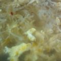 夏生まれ夏子's cooksnap of when they made キャベツとザーサイのかき玉スープ♪.