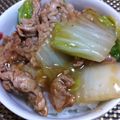 そのぴさっちん's cooksnap of when they made 白菜と豚肉だけの中華丼.