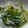 銀河の星屑's cooksnap of when they made もやしとほうれん草のナムル.