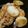 yukanosuke's cooksnap of when they made 長芋のたらこバター焼き＊.