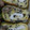 mametan429's cooksnap of when they made ひじきの卵焼き【簡単☆お弁当に】.