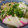 しおりのテーマ's cooksnap of when they made えのきでおろしうどん.