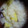 ReRena's cooksnap of when they made さつまいものおかゆ♪(覚書版).