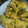 めーたん21's cooksnap of when they made 豆乳を投入～我が家の卵焼き☆.